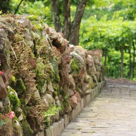 Bento Gonçalves Casa Vigneto Octavio No Vale Dos Vinhedosヴィラ エクステリア 写真