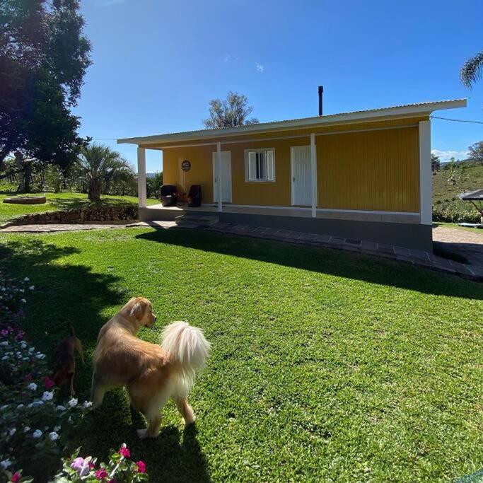 Bento Gonçalves Casa Vigneto Octavio No Vale Dos Vinhedosヴィラ エクステリア 写真