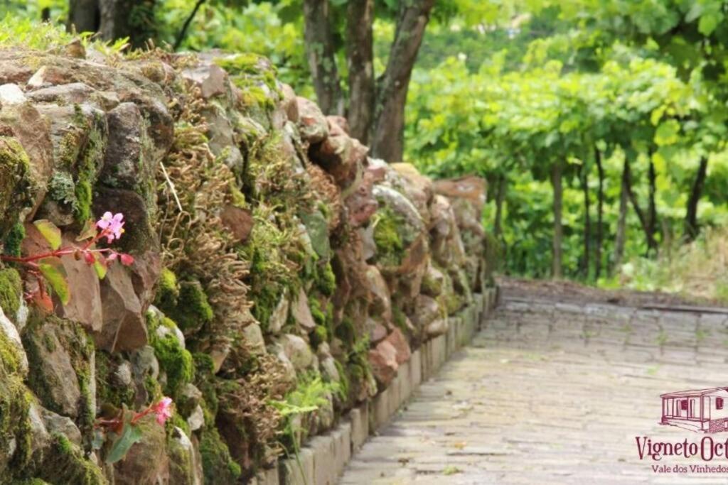 Bento Gonçalves Casa Vigneto Octavio No Vale Dos Vinhedosヴィラ エクステリア 写真