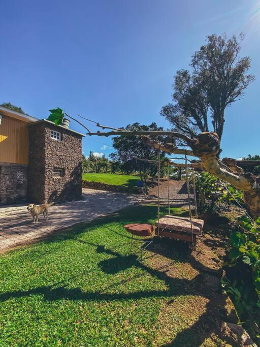 Bento Gonçalves Casa Vigneto Octavio No Vale Dos Vinhedosヴィラ エクステリア 写真