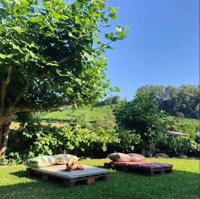 Bento Gonçalves Casa Vigneto Octavio No Vale Dos Vinhedosヴィラ エクステリア 写真